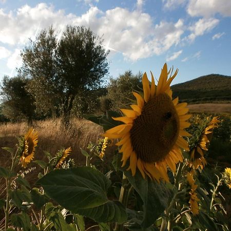 I Casali Di Colle San Paolo Villa Tavernelle  ภายนอก รูปภาพ