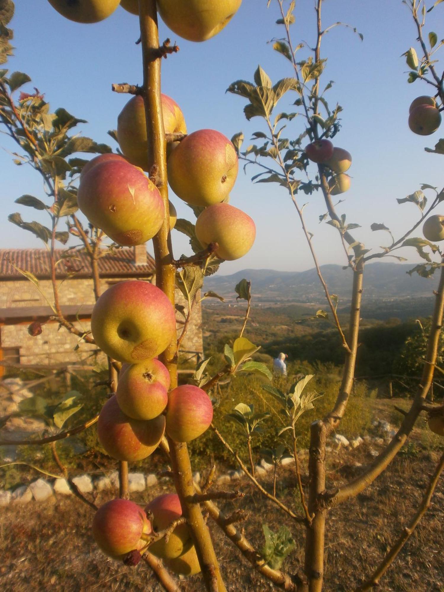 I Casali Di Colle San Paolo Villa Tavernelle  ภายนอก รูปภาพ