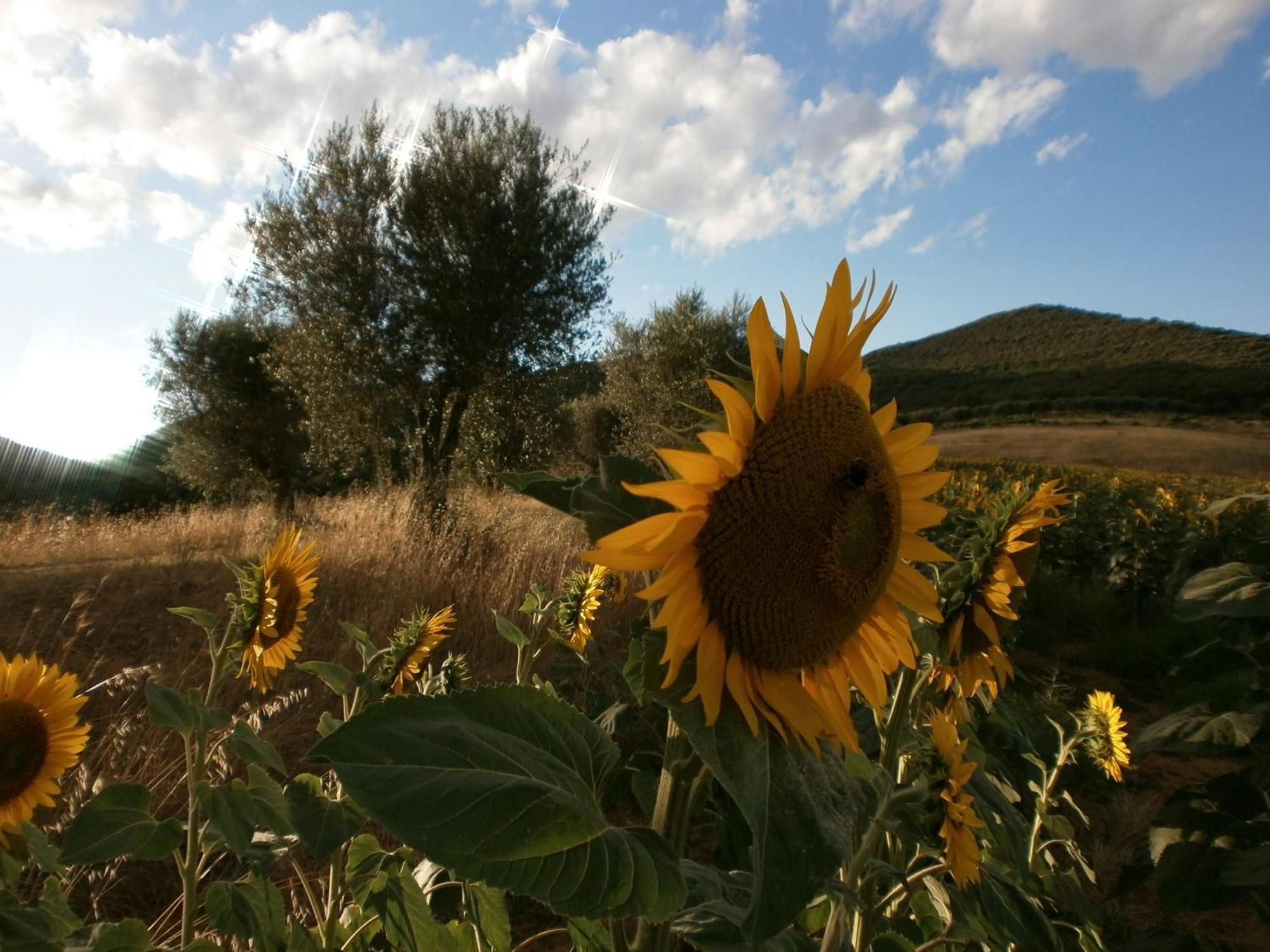 I Casali Di Colle San Paolo Villa Tavernelle  ภายนอก รูปภาพ