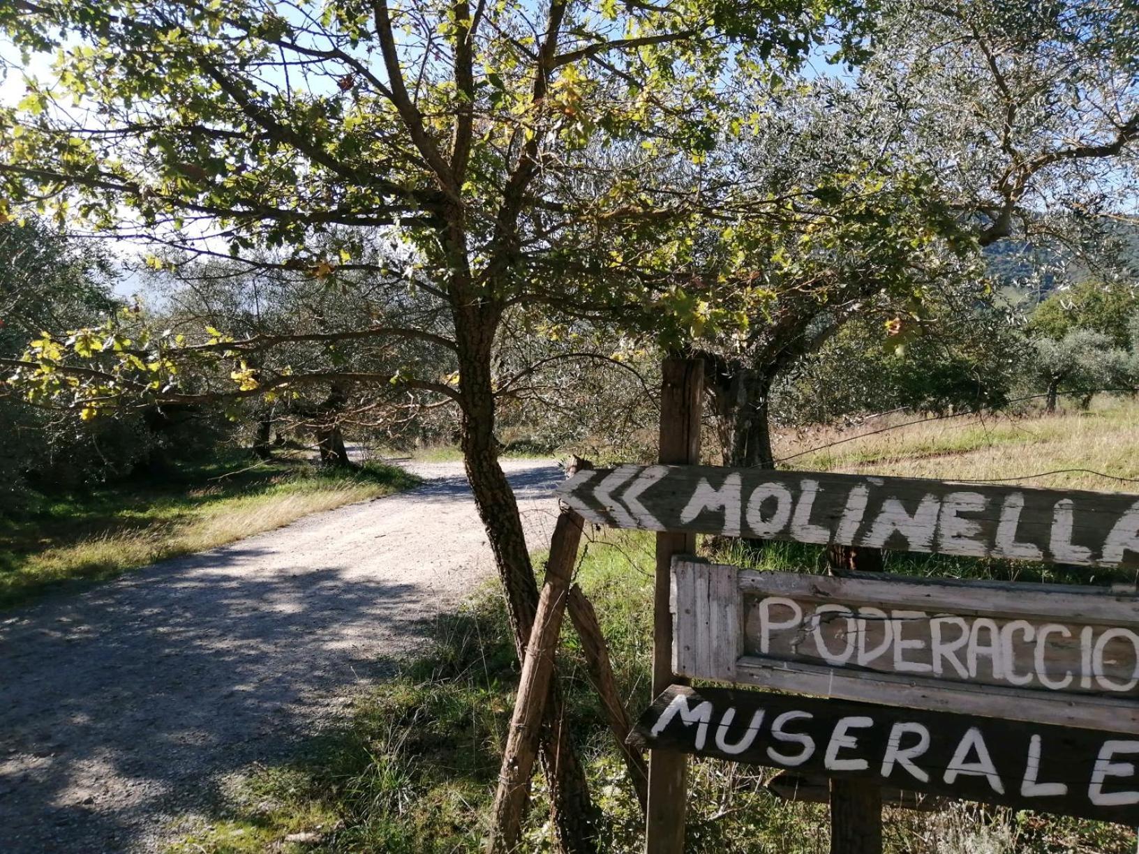 I Casali Di Colle San Paolo Villa Tavernelle  ภายนอก รูปภาพ