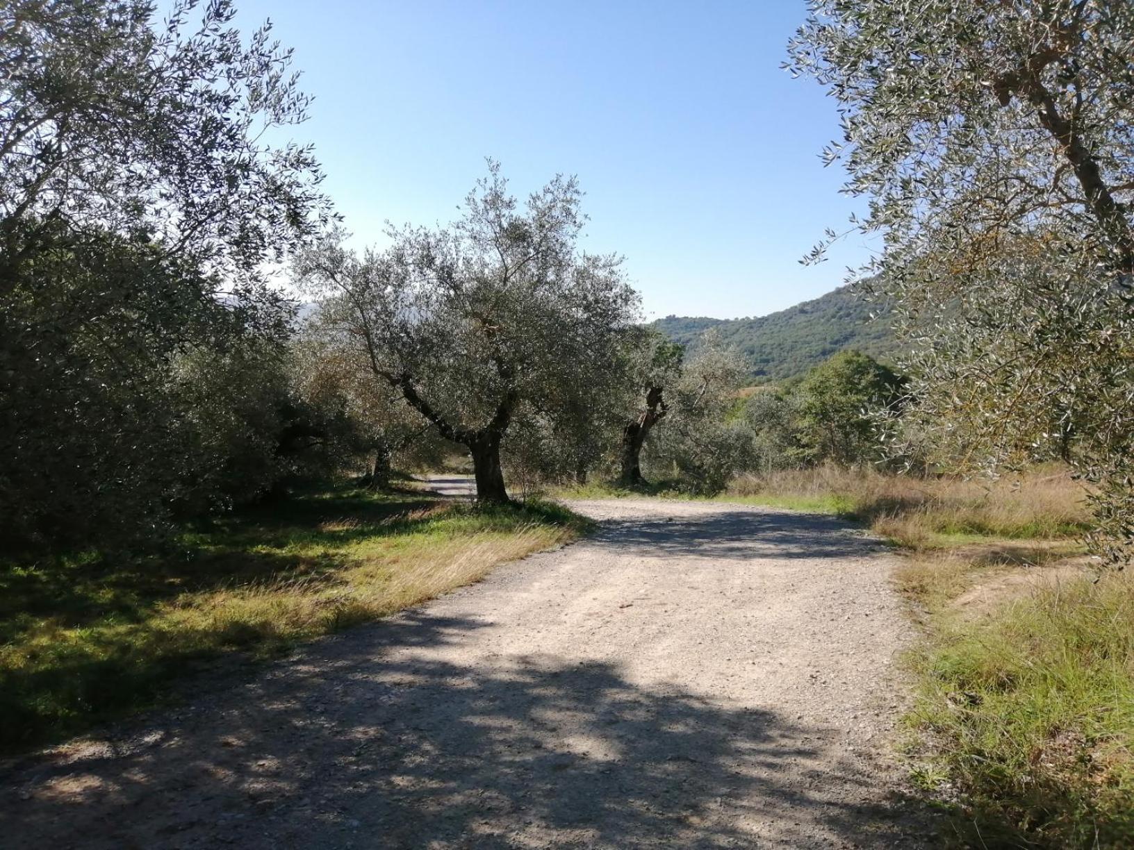 I Casali Di Colle San Paolo Villa Tavernelle  ภายนอก รูปภาพ