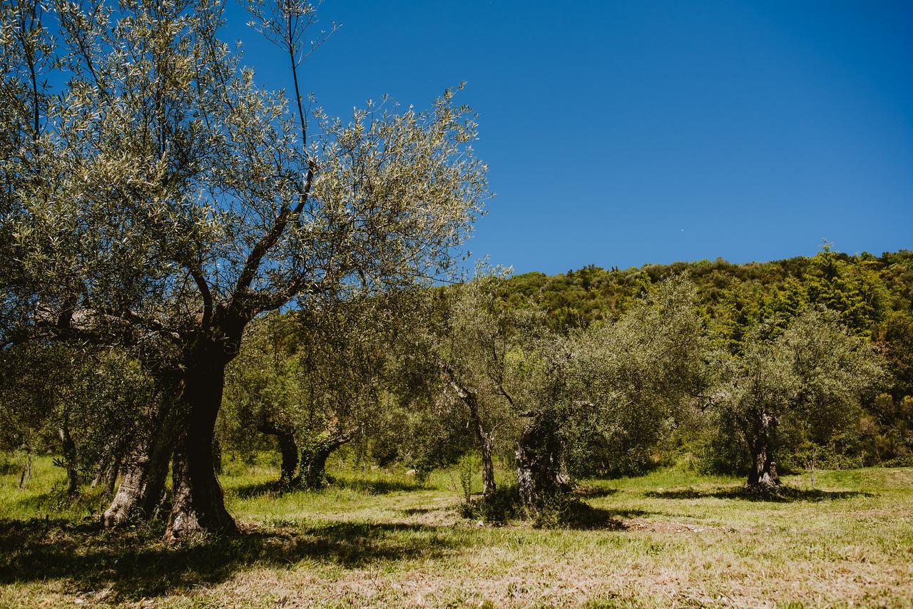 I Casali Di Colle San Paolo Villa Tavernelle  ภายนอก รูปภาพ